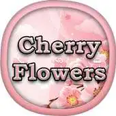 Free play online Cherry Flowers for GO Locker APK