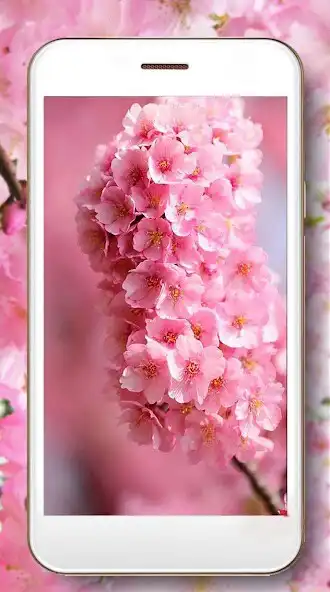 Play Cherry Sakura Flowers as an online game Cherry Sakura Flowers with UptoPlay