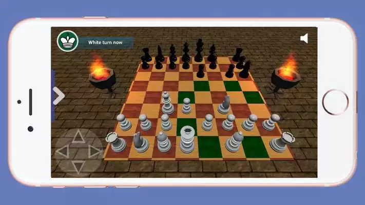 Play Chess 3D