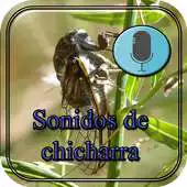 Free play online chicharra sounds APK