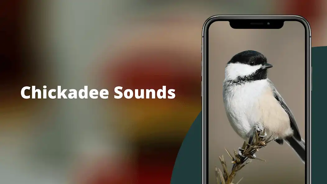 Play Chickadee Sounds as an online game Chickadee Sounds with UptoPlay