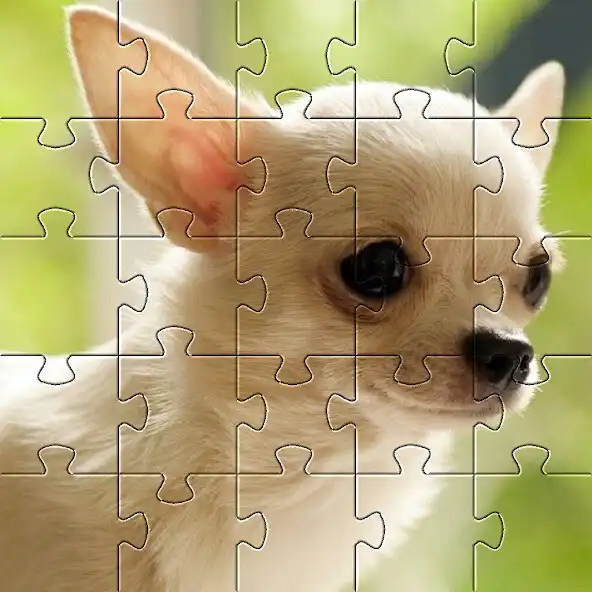 Play Chihuahuas Dog Puzzles Games as an online game Chihuahuas Dog Puzzles Games with UptoPlay