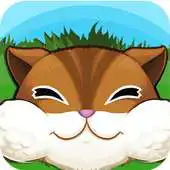 Free play online Chubby Chipmunk APK