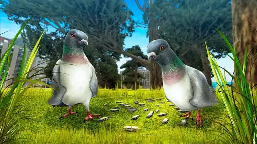 Play City Bird Pigeon Simulator 3D as an online game City Bird Pigeon Simulator 3D with UptoPlay