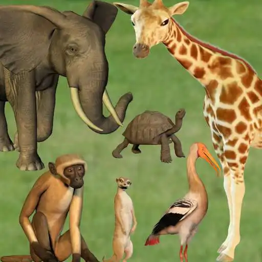 Play Click! Zoo APK