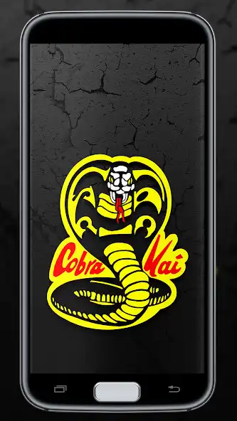 Play Cobra kai wallpapers 4K as an online game Cobra kai wallpapers 4K with UptoPlay