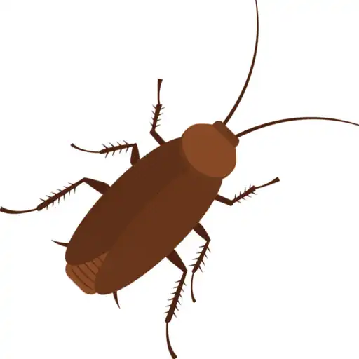 Play Cockroaches crush APK