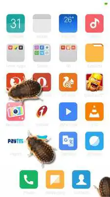 Play Cockroach On Screen Funny Joke