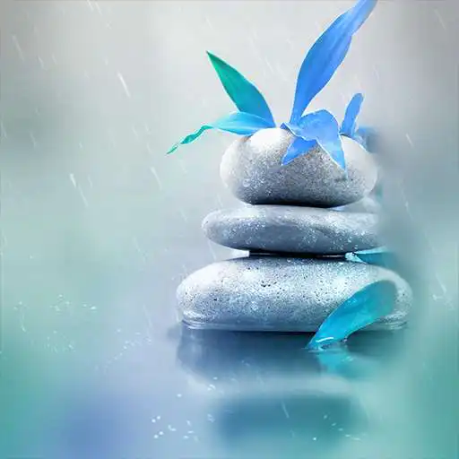 Play COGUL HD/4K Wallpaper - Calm Rainy Day APK