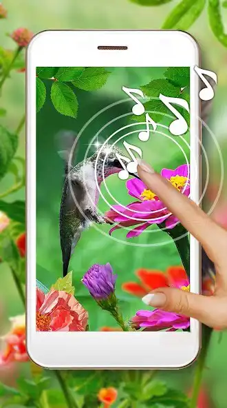 Play Colibri HD Live Wallpaper  and enjoy Colibri HD Live Wallpaper with UptoPlay