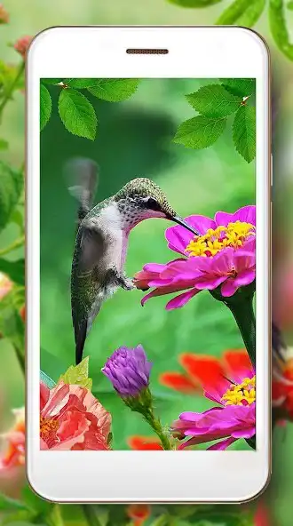 Play Colibri HD Live Wallpaper as an online game Colibri HD Live Wallpaper with UptoPlay