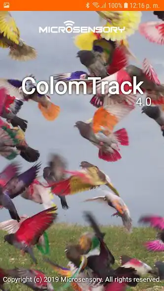 Play ColomTrack Online  and enjoy ColomTrack Online with UptoPlay