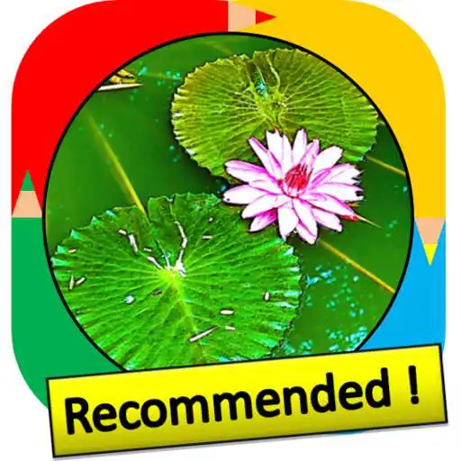 Play Color by Number - pond - Pixel Art APK