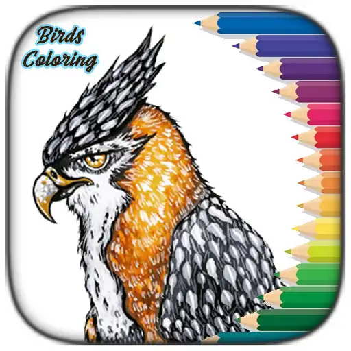 Play ColorFill - Bird Coloring Book APK