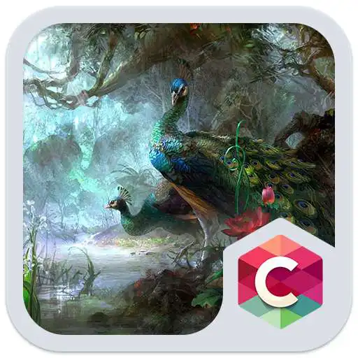 Run free android online Colorful Peacoke Theme APK