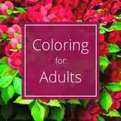 Free play online Coloring Books for Adults Tips APK