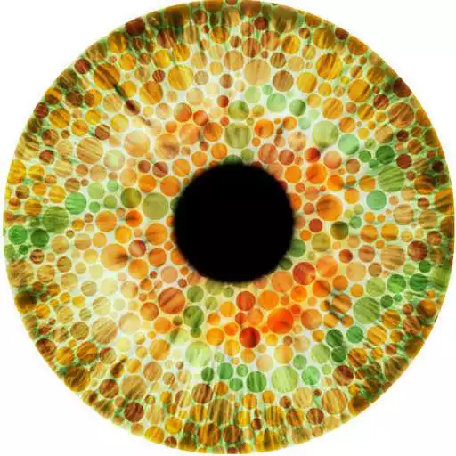 Run free android online Colour Blindness Detector APK