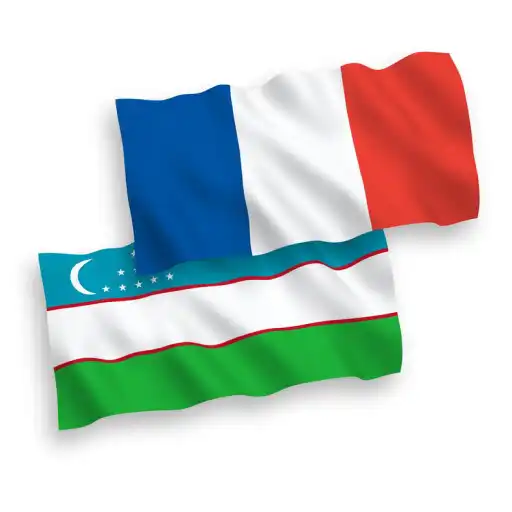 Play CONCISE UZBEK-FRENCH DICTIONAR APK