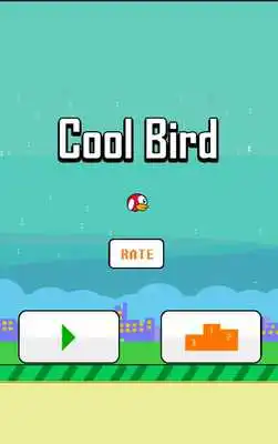 Play Cool Bird