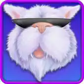 Free play online Cool Cat Toys APK