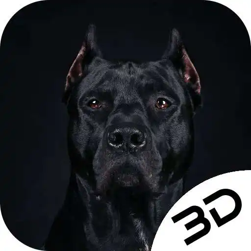 Free play online Cool Puppy Depth Live Wallpaper  APK