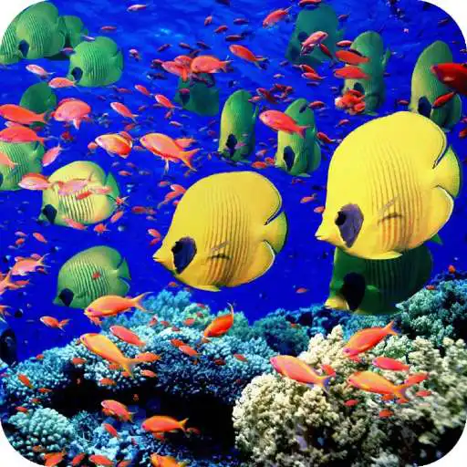 Free play online Coral Wallpaper APK