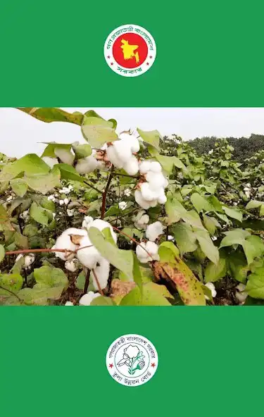 Play Cotton Yield Calculator  and enjoy Cotton Yield Calculator with UptoPlay