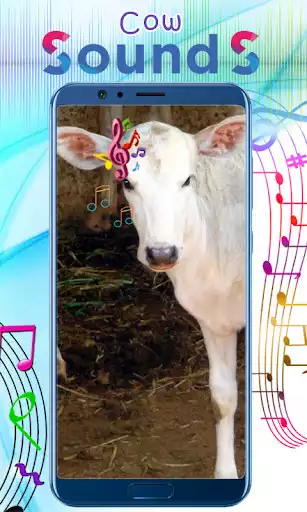 Play Cow Sounds  and enjoy Cow Sounds with UptoPlay