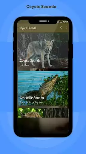 Play Coyote Sounds  and enjoy Coyote Sounds with UptoPlay