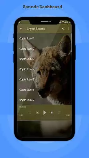 Play Coyote Sounds as an online game Coyote Sounds with UptoPlay