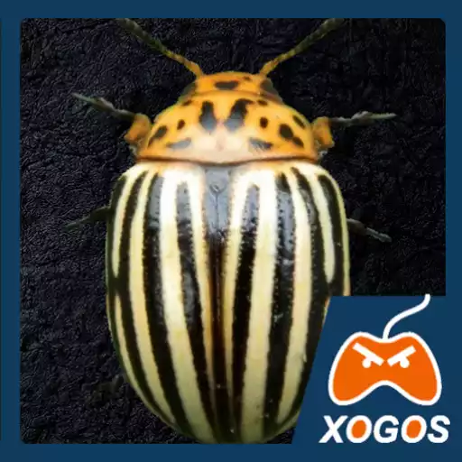 Run free android online Crash of Colorado Potato Beetle APK