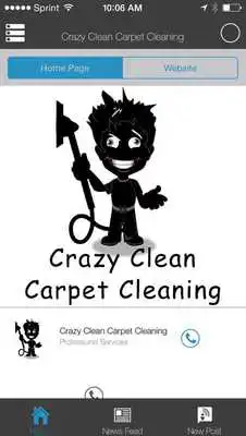 Play Crazy Clean Carpet Cleaning