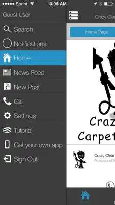 Play Crazy Clean Carpet Cleaning