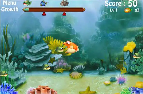 Play Crazy Fish Eat Fish