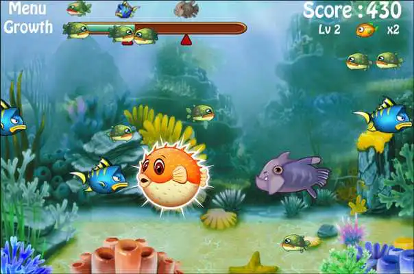 Play Crazy Fish Eat Fish