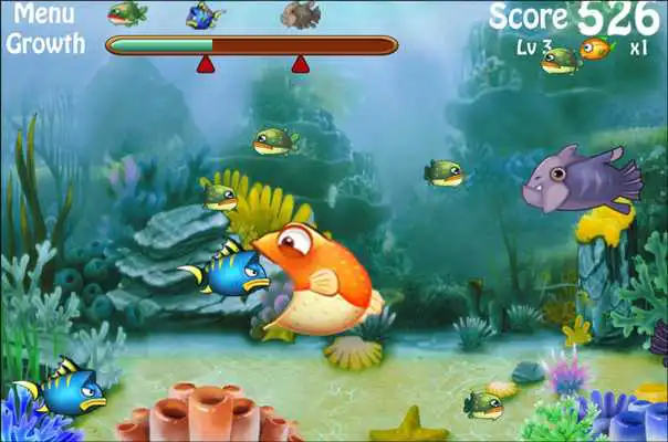 Play Crazy Fish Eat Fish