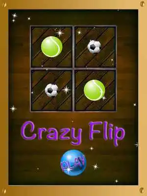 Play Crazy Flip