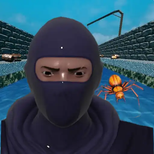 Free play online Crazy Ninja Run APK