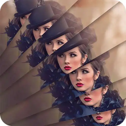 Free play online Crazy Snap Photo Effect : Photo Effect  APK