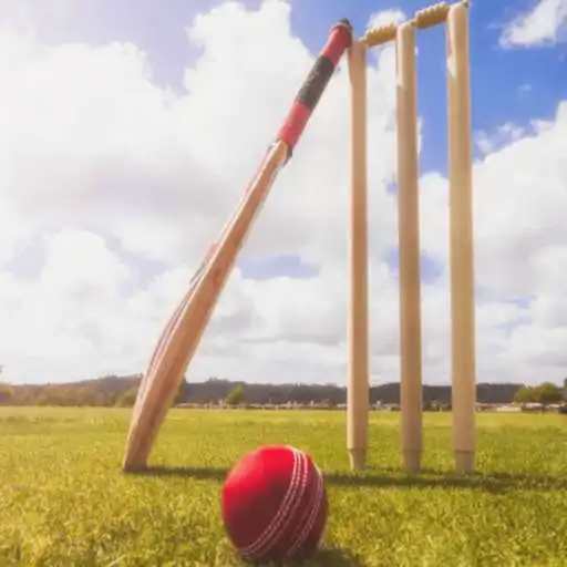 Play Cricket Predictor APK