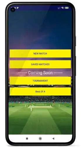 Play Cricket Score Calculator