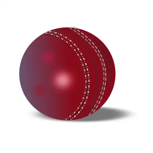 Play Cricket Scores APK