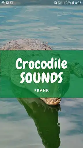 Play Crocodile Sounds and Wallpapers  and enjoy Crocodile Sounds and Wallpapers with UptoPlay