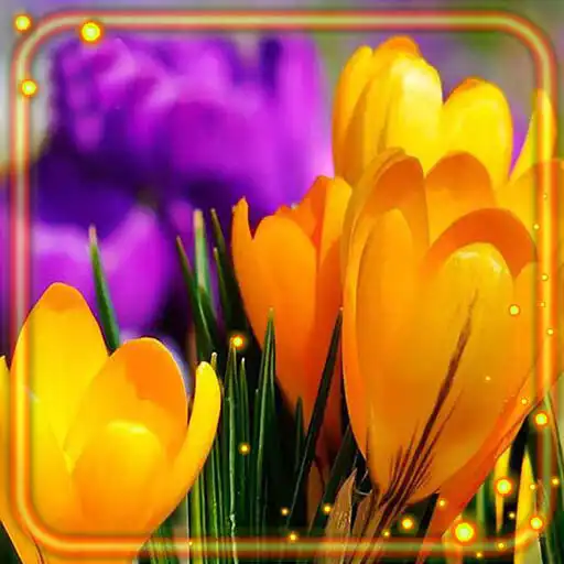 Play Crocuses of Spring APK