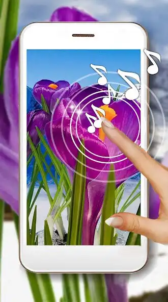 Play Crocuses of Spring  and enjoy Crocuses of Spring with UptoPlay