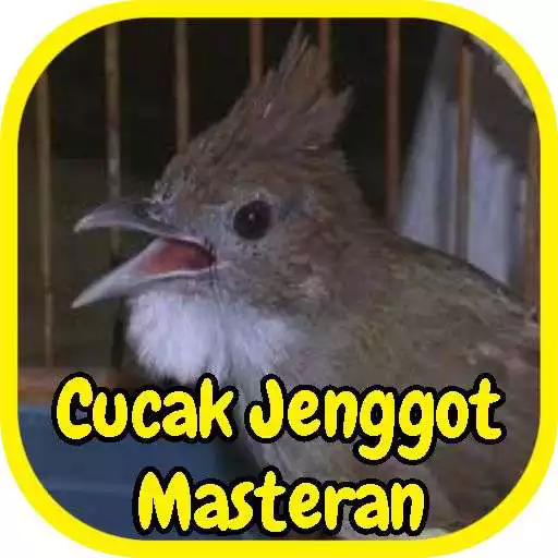 Free play online Cucak Jenggot Masteran Gacor APK