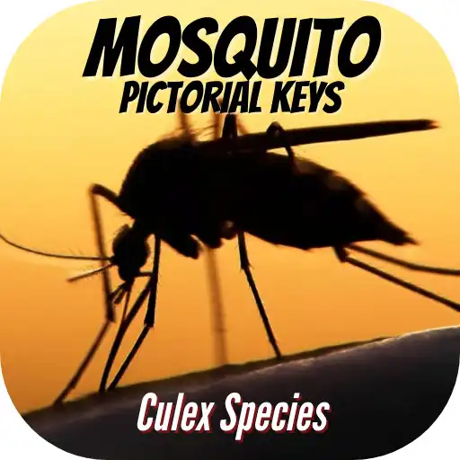 Play Culex (Mosquito Pictorial Keys) adult APK