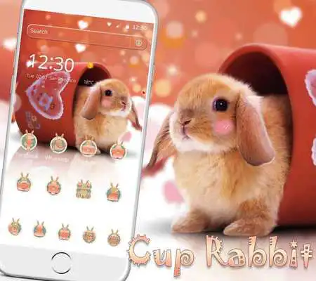 Play Cup Rabbit Theme