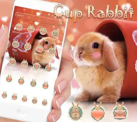 Play Cup Rabbit Theme