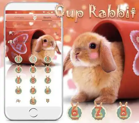 Play Cup Rabbit Theme